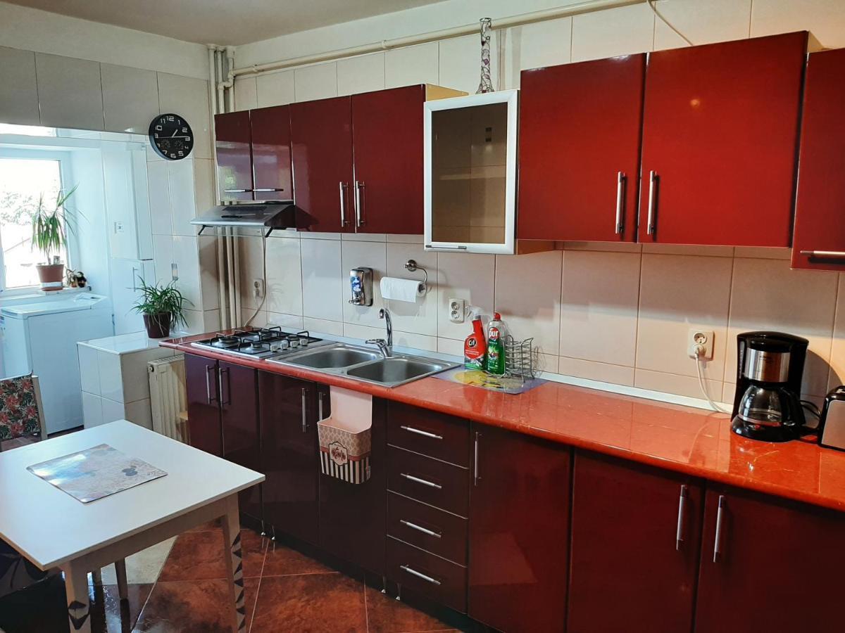 Ultracentral,Parcul Catedralei,Apartament 2 Camere Bacau Bagian luar foto